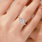 Halo Radiance Moissanite Ring - SHICCACHE
