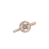 Halo Radiance Moissanite Ring - SHICCACHE